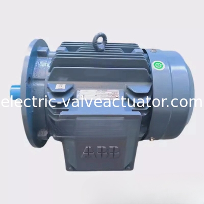 ভালো দাম M2QA200LB6 22KW 6-পোল থ্রি-ফেজ অ্যাসিনক্রোন মোটর IC411 স্ব-শীতল অনলাইনে