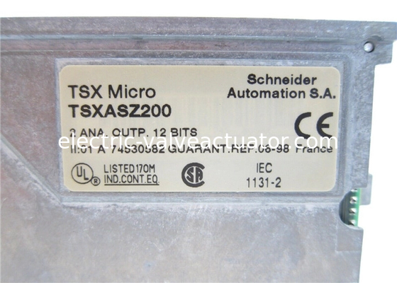 ভালো দাম স্নাইডার ইলেকট্রিক TSXASZ200 TSX মাইক্রো 2 এনালগ আউটপুট +- 10 V 0-20 4-20 mA অনলাইনে
